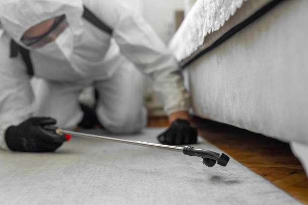 Professional Ant Control technician working in Union City, GA