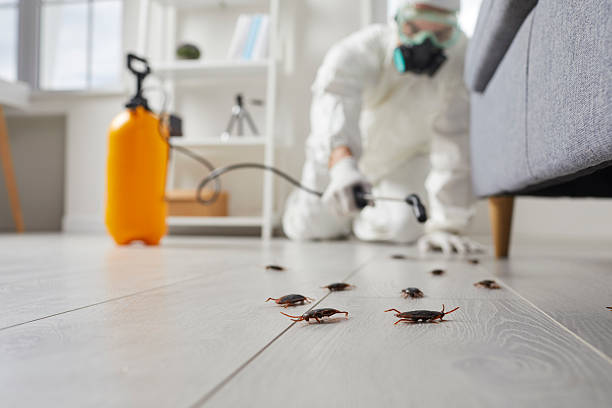 Trusted Rodent Control service in Union City, GA - Nex Pest Control