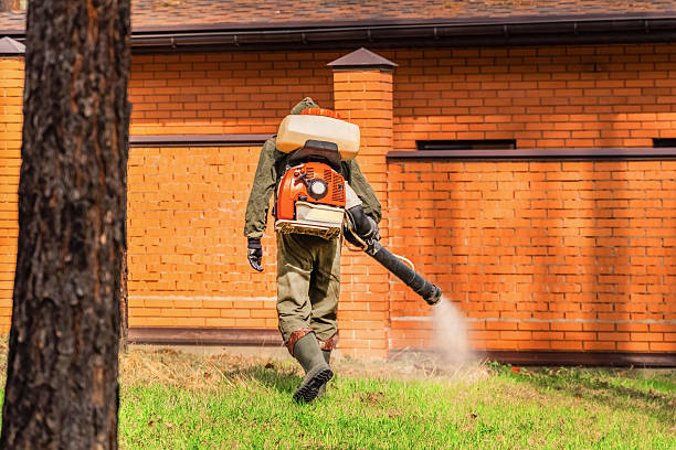 Trusted Mosquito Control service in Union City, GA - Nex Pest Control